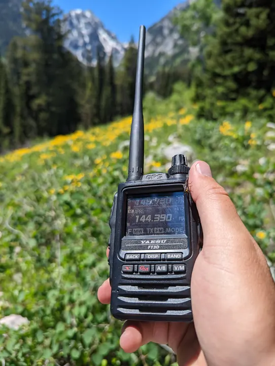 A handheld radio held in front of yellow wildflowers, evergreen trees, and rocky mountain peaks.